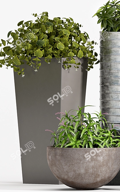 Elegant Greenery Set 3D model image 3