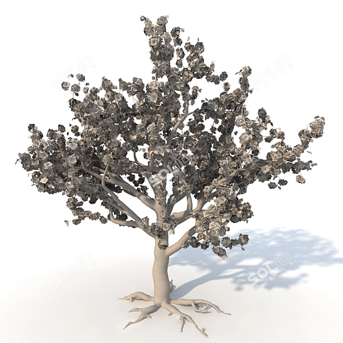 Blooming Sakura Tree 3D model image 2