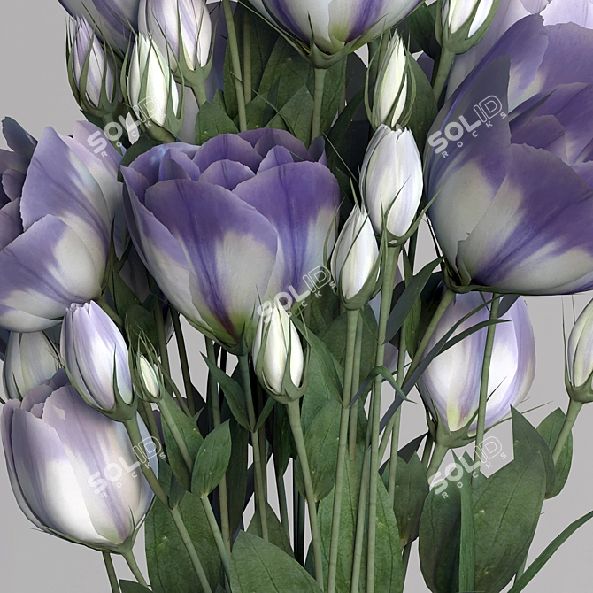 Elegant Lisianthus Bouquet 3D model image 3