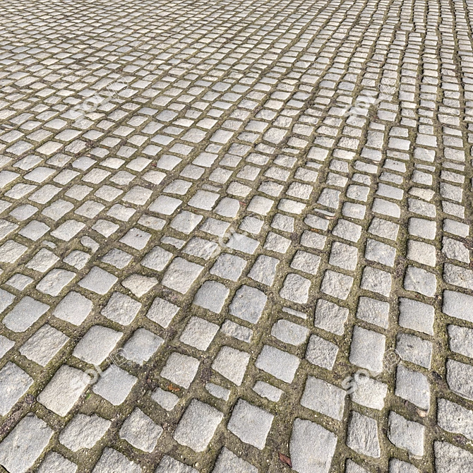 Corona CobbleStone Texture Pack 3D model image 1