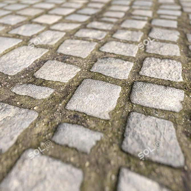 Corona CobbleStone Texture Pack 3D model image 2