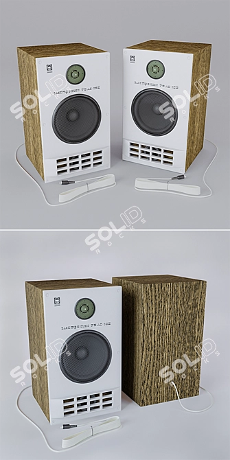 Premium 2-Way Acoustic Speakers 3D model image 2