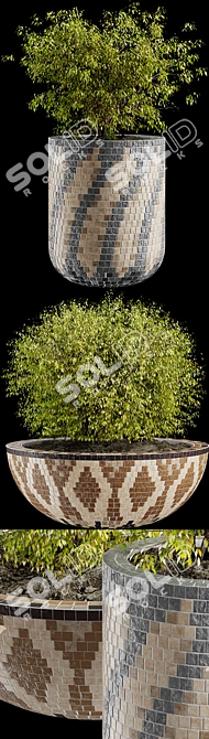 Mosaic Pot Euonymus Alatus 3D model image 2