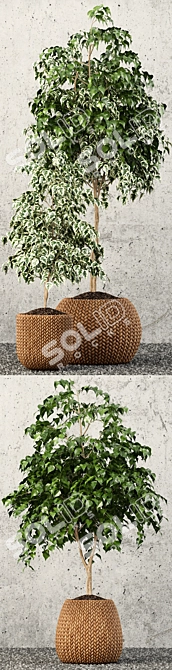 Variety Greenery Set 62 3D model image 2