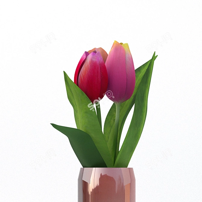 Elegant Tulip Invaze Vase 3D model image 2