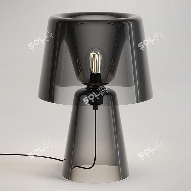 Elegant Smoke Glass Table Lamp 3D model image 1