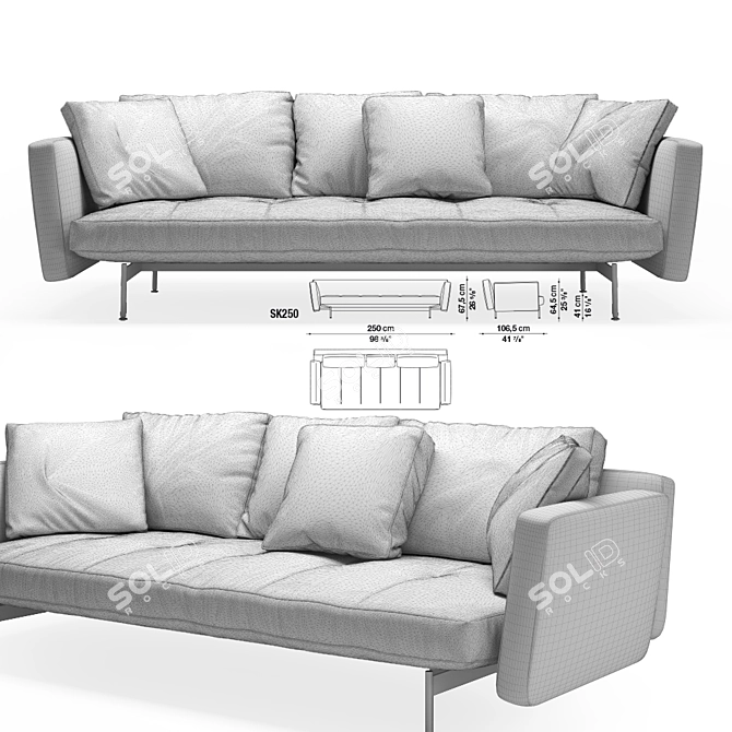 Stylish B&B Italia SAKe Sofa 3D model image 2