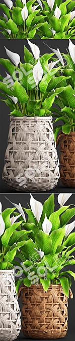 Evergreen Collection: Spathiphyllum 3D model image 2