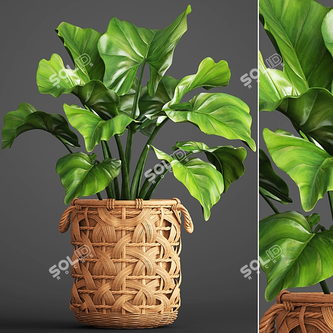 Exotic Jungle Foliage 3D model image 1