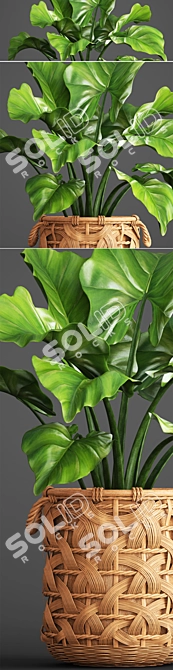 Exotic Jungle Foliage 3D model image 2