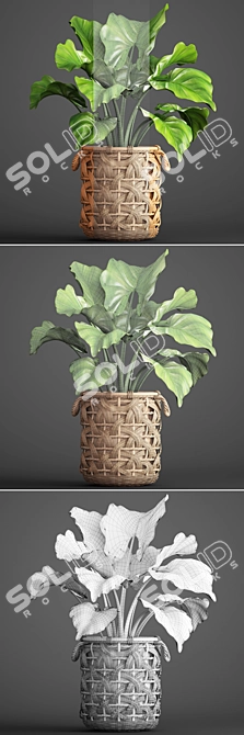 Exotic Jungle Foliage 3D model image 3