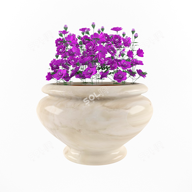 Blooming Beauty Geranium 3D model image 1