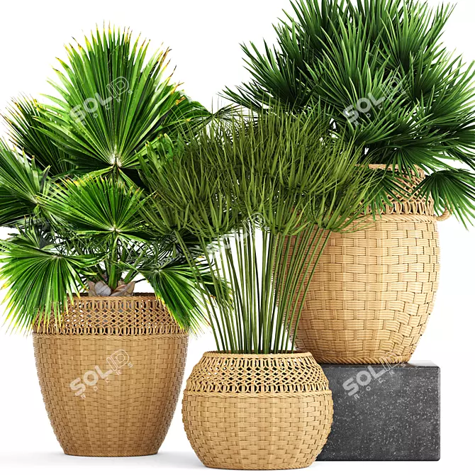 Botanical Bliss: Collection of 103 Exotic Plants 3D model image 1