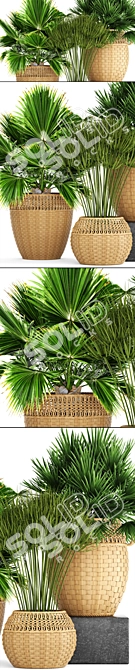 Botanical Bliss: Collection of 103 Exotic Plants 3D model image 2