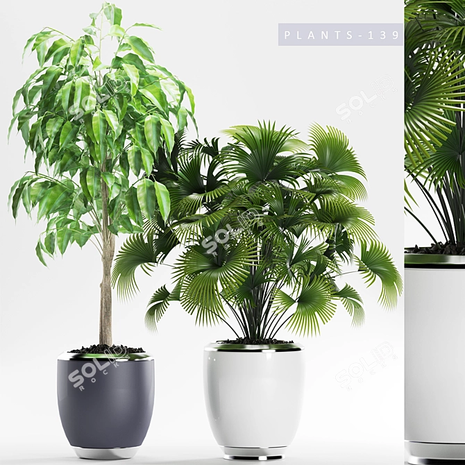 Greenery Collection: PLANTS 139 3D model image 1