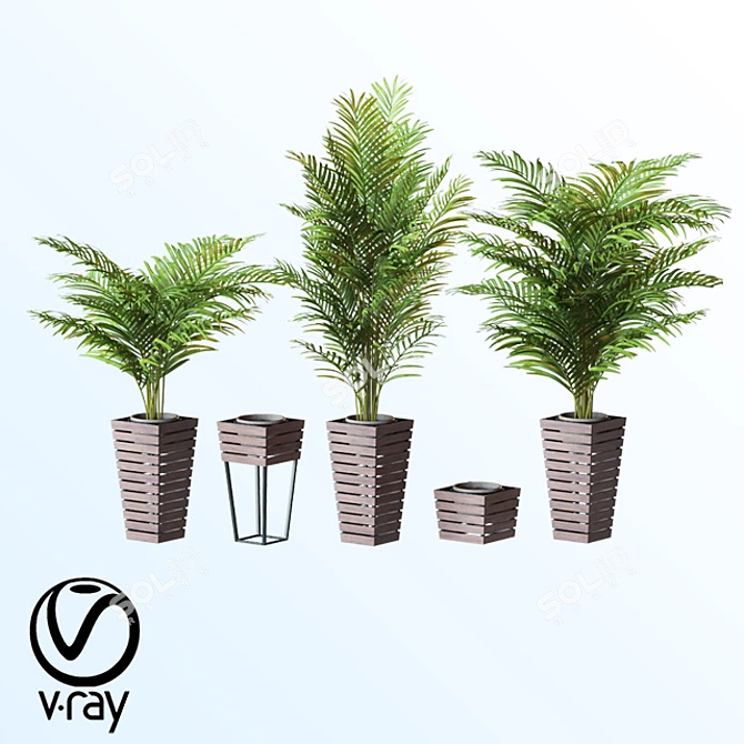 Areca Palm Set: Perfect for Interior Design 3D model image 1