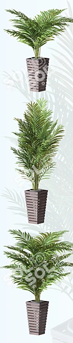 Areca Palm Set: Perfect for Interior Design 3D model image 3