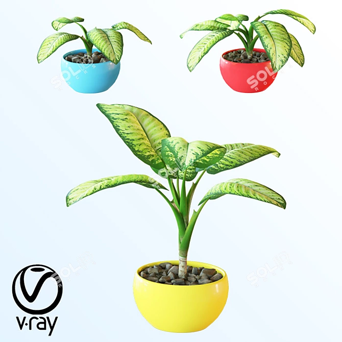 Tropical Room Plant Set 3D model image 1