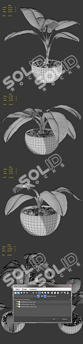 Tropical Room Plant Set 3D model image 2