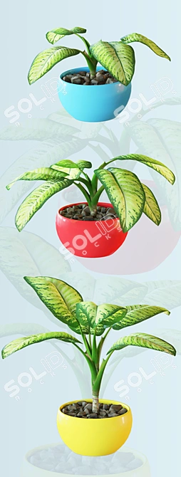 Tropical Room Plant Set 3D model image 3