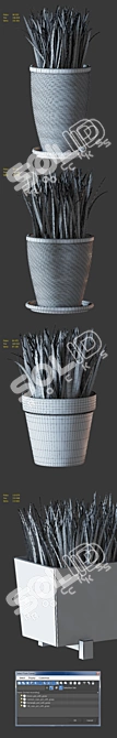 Modern Home Plant Set 

Translation: 
Set of simple indoor plants with pots, perfect for interior design. Features high-quality voluminous grass. 3D model image 2