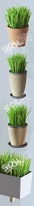 Modern Home Plant Set 

Translation: 
Set of simple indoor plants with pots, perfect for interior design. Features high-quality voluminous grass. 3D model image 3