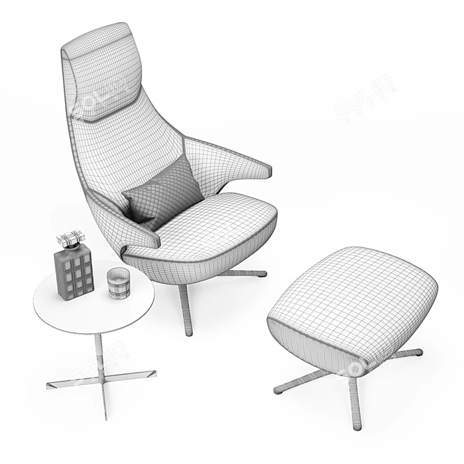 Sculptural Organic Lounge Chair - Poltrona Frau Jay 3D model image 3