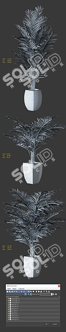 Realistic Home Palm Plant Kit 3D model image 2