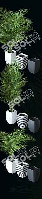 Realistic Home Palm Plant Kit 3D model image 3