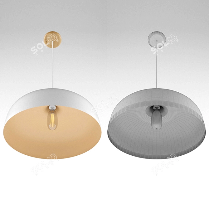 Elegant Acorn Pendant Light 3D model image 3