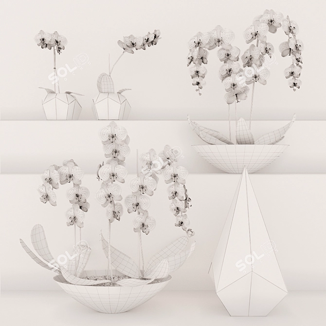 Exquisite Orchid Collection 3D model image 2