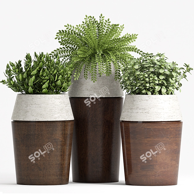 Botanical Oasis: Decorative Planters 3D model image 1