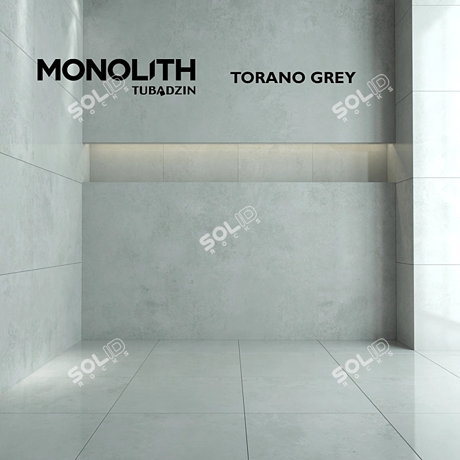Torano Gray LAP POL Tiles - Versatile Textured Sizes 3D model image 1