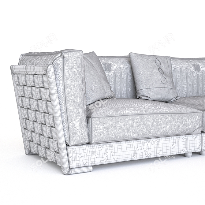 Durini Vittoriafrigerio Sofa - Elegant and Spacious 3D model image 3
