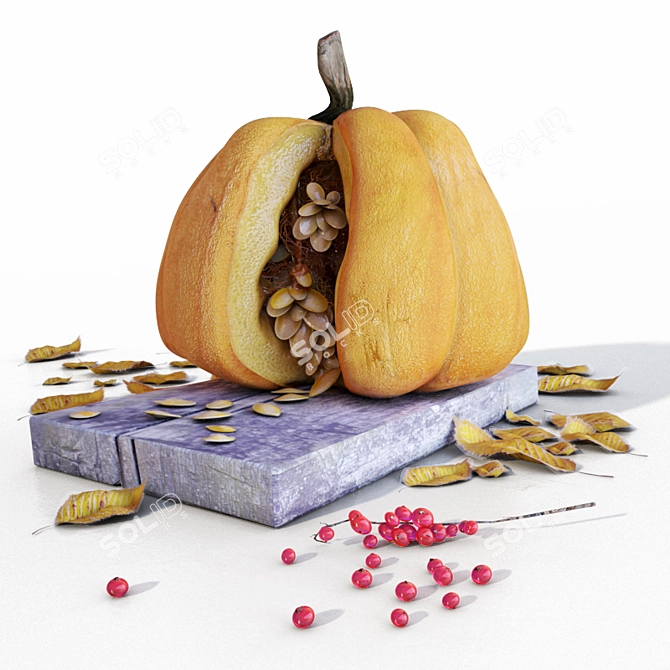Pumpkin Slices with Seeds 3D model image 1