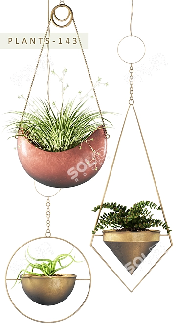 Green Oasis: PLANTS 143 - MAX 2015, 2012 & Fbx 3D model image 2