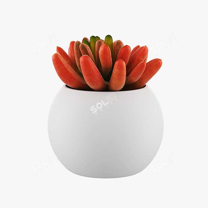 Elegant Pot Flower for Home 3D model image 1