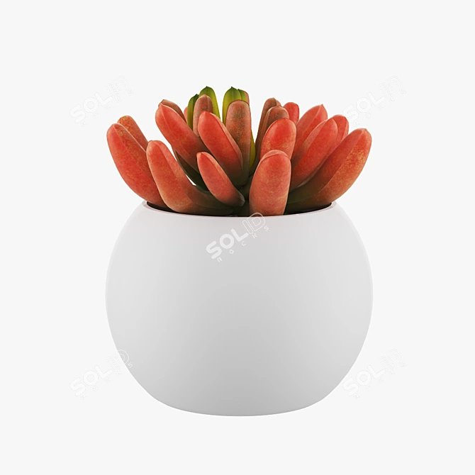 Elegant Pot Flower for Home 3D model image 2