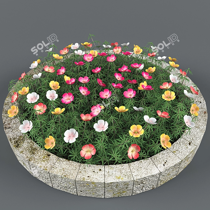 Vibrant Purslane: Eye-catching One-Year Plant 3D model image 2