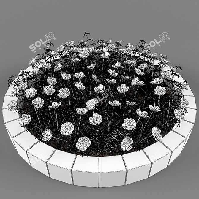 Vibrant Purslane: Eye-catching One-Year Plant 3D model image 3