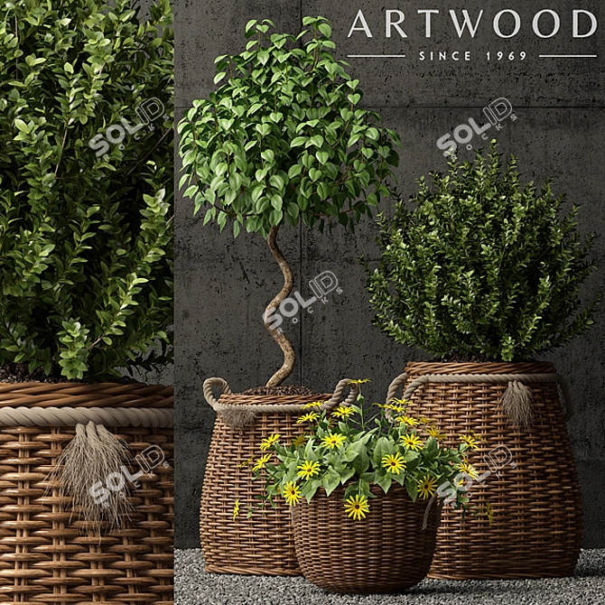 65 Varieties of Beautiful Plants 3D model image 1