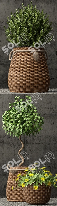 65 Varieties of Beautiful Plants 3D model image 2