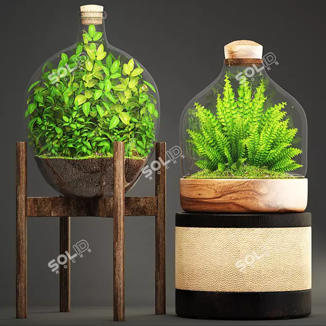 Exquisite Indoor Green Collection 3D model image 1