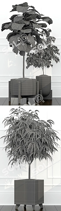 Tropical Bliss: Exquisite Plant Collection 3D model image 3