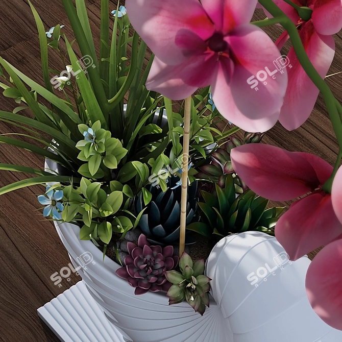 Elegant Blooming Orchid 3D model image 2