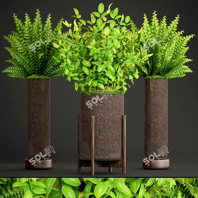 Green Oasis Plant Collection 3D model image 1