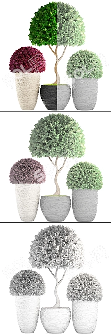 118 Plant Collection: Topiary Haven 3D model image 3