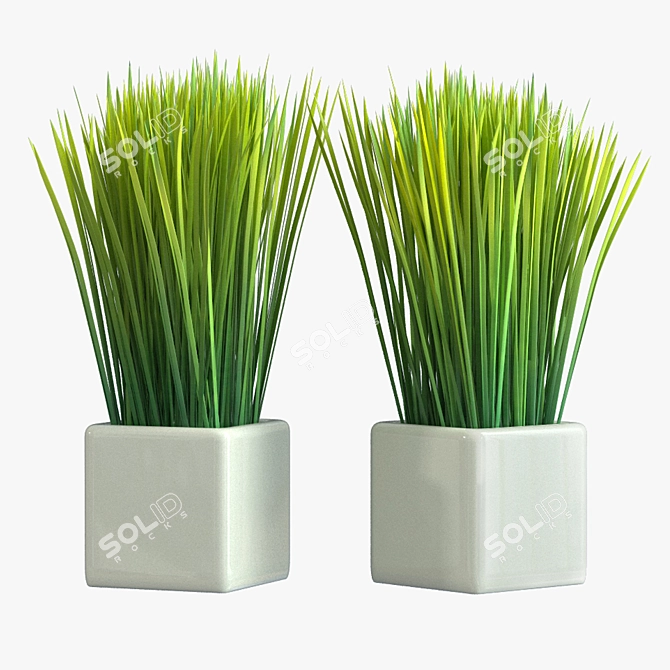 3D Pot Plant Model 3D model image 1