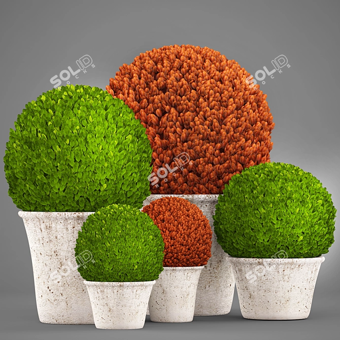 Lush Topiary Collection: 121 Plants 3D model image 1