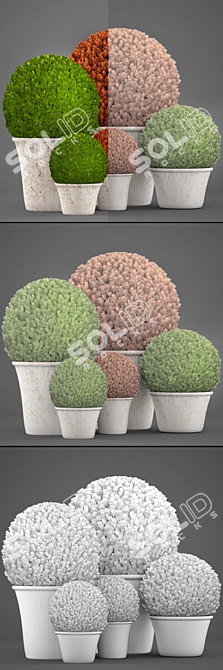 Lush Topiary Collection: 121 Plants 3D model image 3